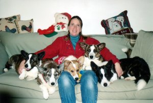 Debbie and dogs